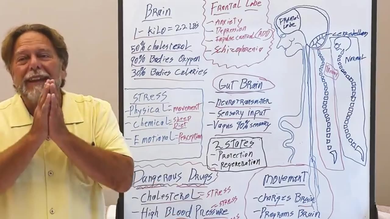 Brain Function (Dr. John Bergman)