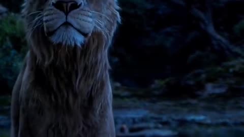 Mufasa 😍❤️ (Part - 46)....#reels #viralreels #reel #mufasa #animation #lastest #romantic #viralreel
