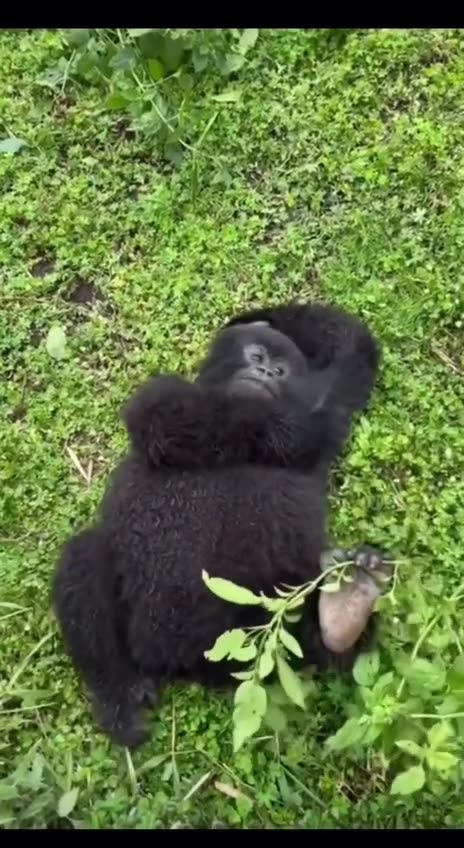 Long weekend mood 🙏😊