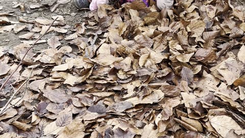 Baby Kayla Doesn’t Like the Happy Birthday Song 😂🎂