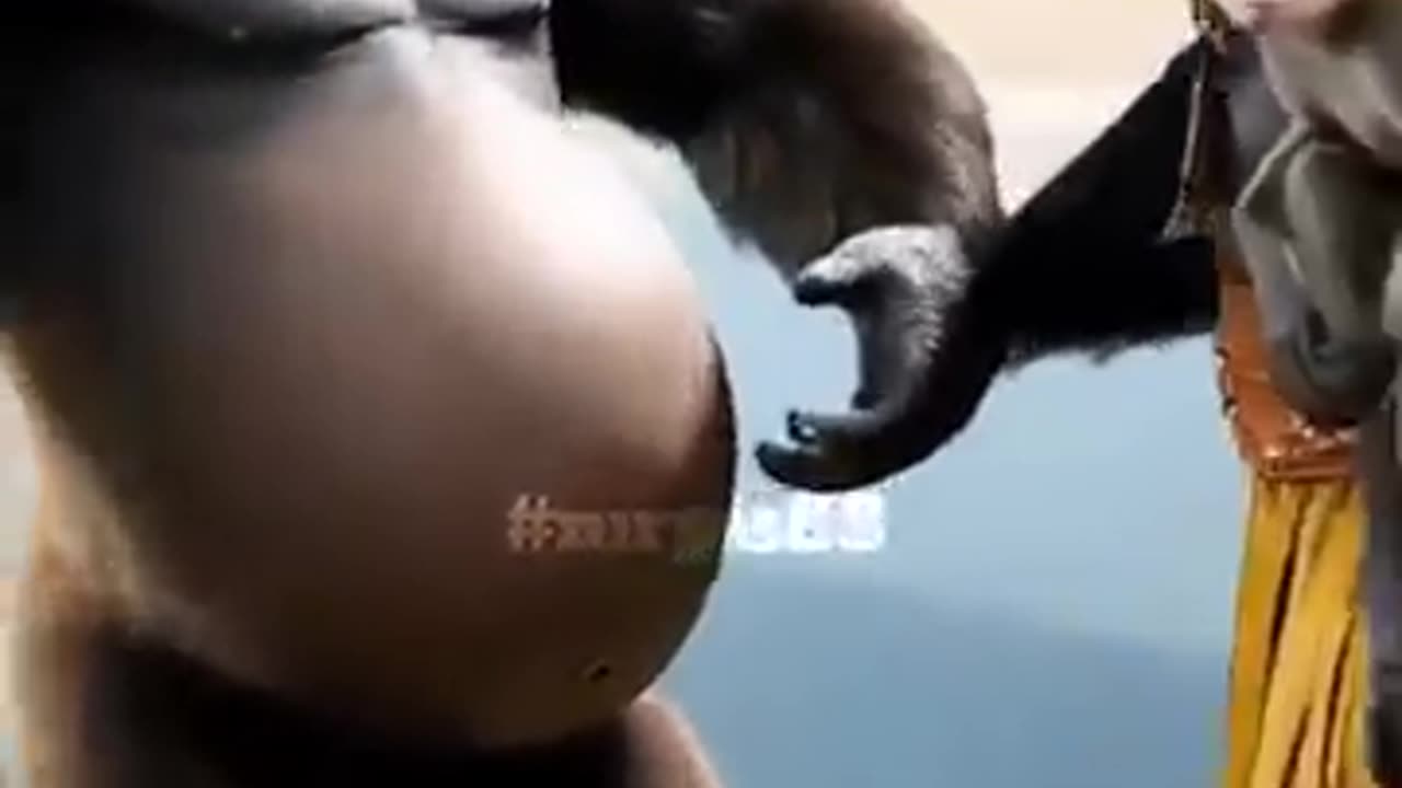 😂