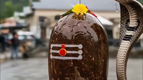 Bhakti