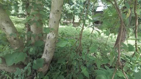 💥🏹 Myanmar War | Karenni Army 5th Battalion in Ngwe Taung Village | RCF