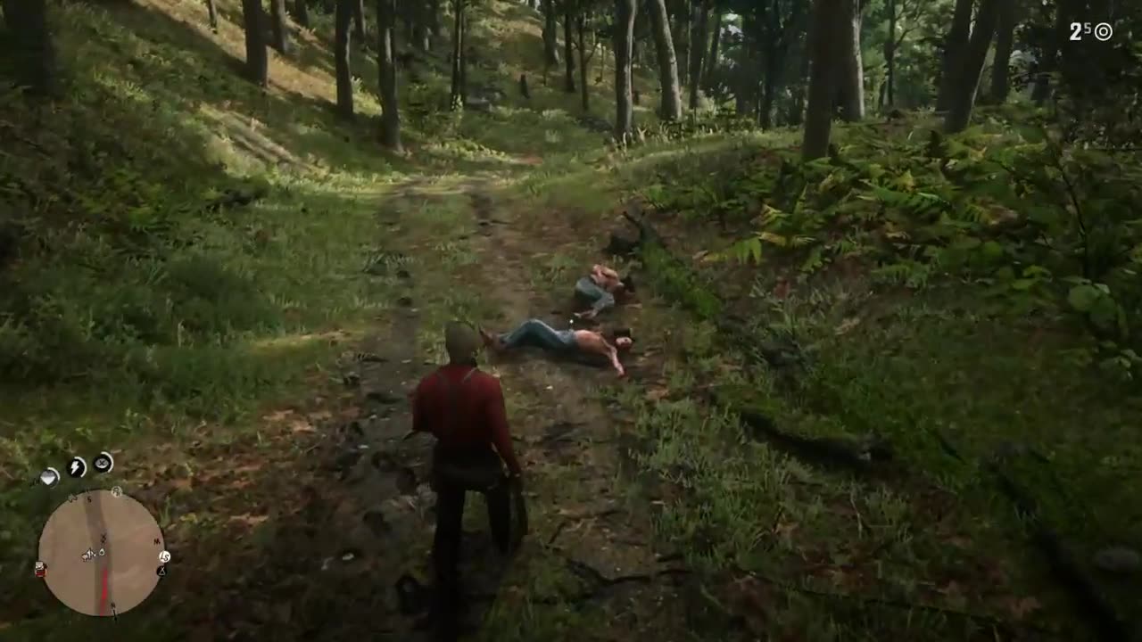 Red Dead Redemption 2 Day 14