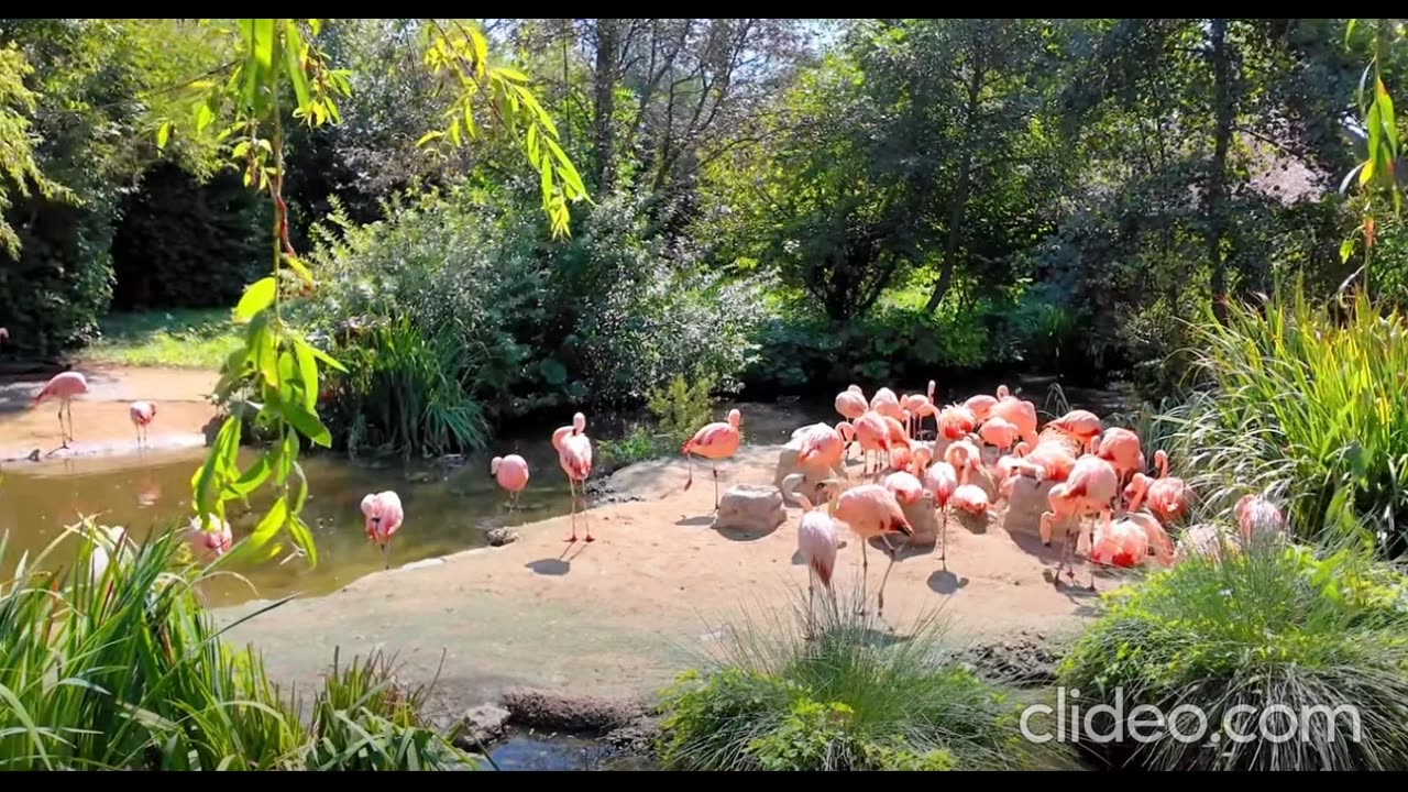 Zurich Zoo Switzerland Tour