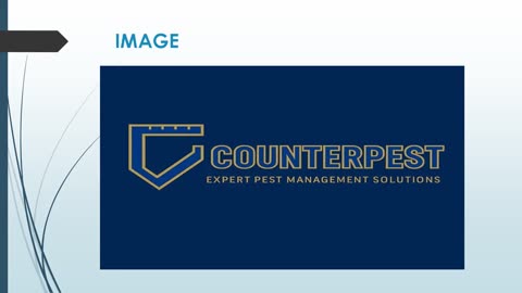 Best Rodent Control in Borris-in-Ossory