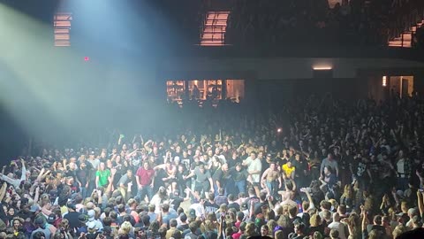 Knocked loose ( live)