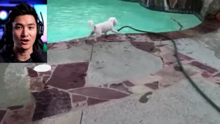 Funny Video in VN #1