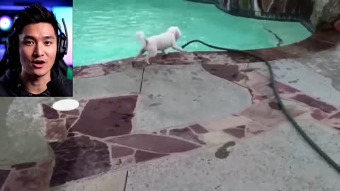 Funny Video in VN #1