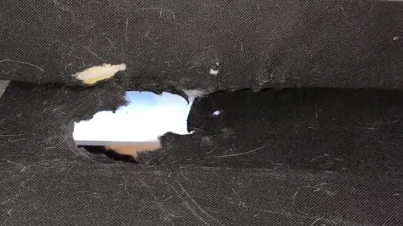 😂🏠 Pulled a Prison Break in the Couch | FunFM
