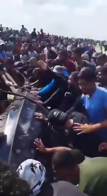 Palestinian fishermen catch massive 2 ton whale shark measuring about 10 meters