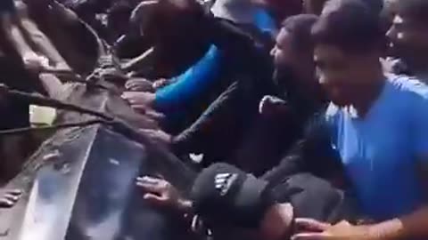 Palestinian fishermen catch massive 2 ton whale shark measuring about 10 meters