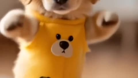 Dancing Puppy Deli 🐶😂 Cute Dog Shows Off Dance Moves