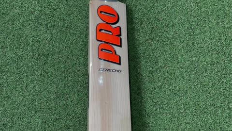 Protos Derecho Cricket Bat