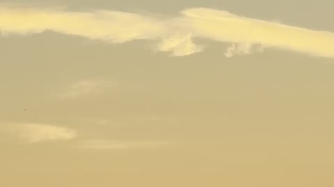 Sunrise Wisdom