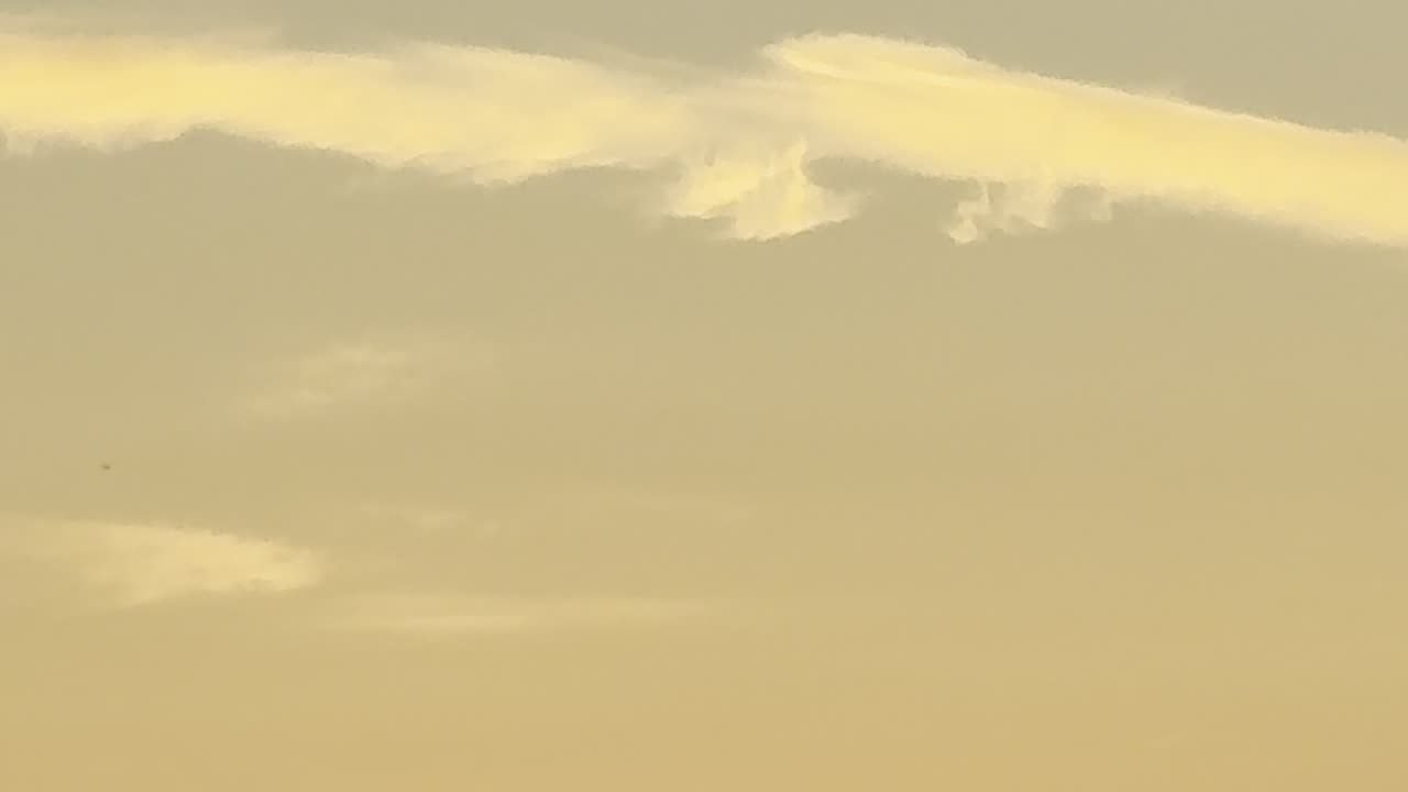Sunrise Wisdom