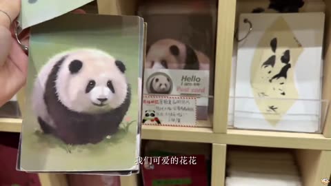 VLOG｜Failed Rice & Panda Post | Soft Summer Solo Diary🍚🐼