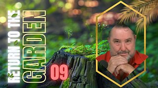 Ash or Dust~Numbers Five Decides Who Enters the Garden | Returning to the Garden Nine