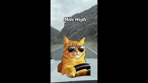 Mile High #drive #mountains #colorado #trip #shorts