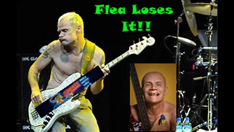 Flea Loses It!