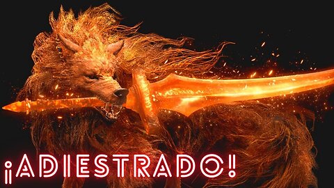 🤣 ADIESTRANDO al CACHORRO | 🐺 LOBO ROJO de Radagon en MENOS de 2 MINUTOS 🤯