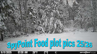 SpyPoint Food Plot Pics 25/26