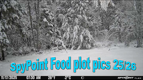 SpyPoint Food Plot Pics 25/26