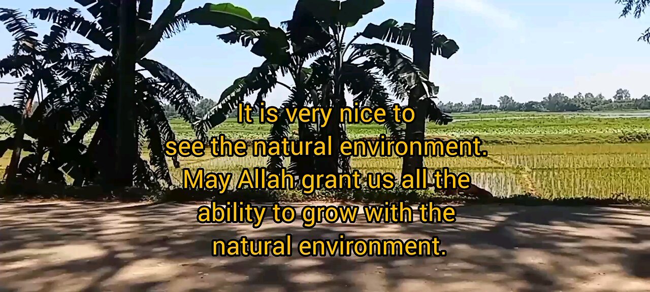 Natural Environment view