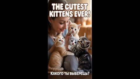 Which of these kittens would you choose? 🐱💕