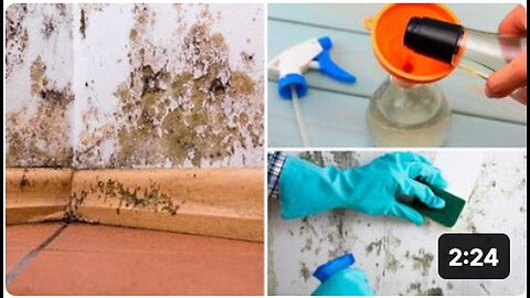 "Naturally Eliminating Black Mold: A Comprehensive Guide"