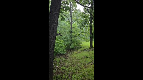 Rainy morning at Lake of the Ozarks