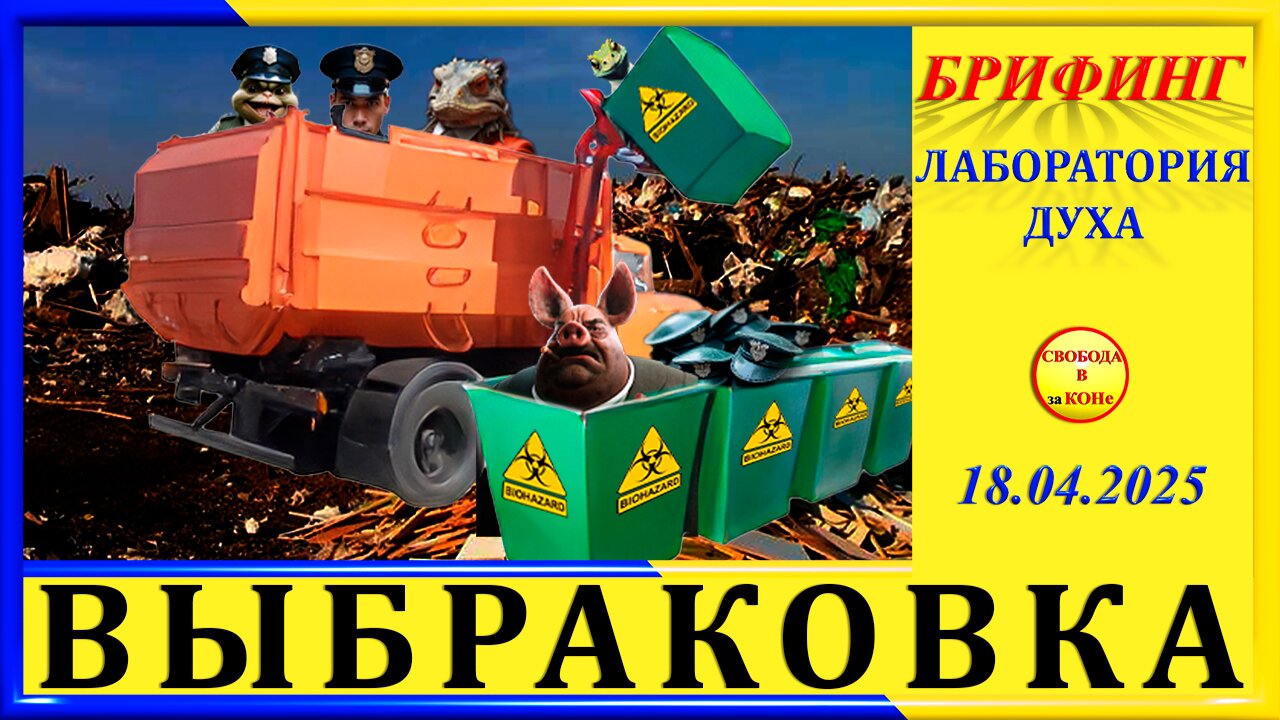 БРИФИНГ- ВЫБРАКОВКА