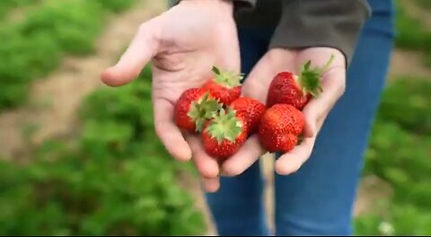 15+ HERBS YOU CAN GROW FOR NATURAL HEALING - HOW WE USE THEM FOR OUR FAMILY 💖