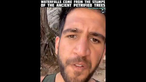 Waterfalls Come From The Stumps Of Ancient Petrified Trees