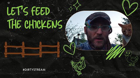Preparing for a Rainy Month | Let's Feed the Chickens | E252