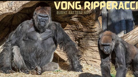 Vong Ripperacci - Burnt Battery nut