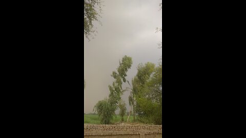 my village life friends