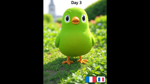Duolingo Learning French Day 3