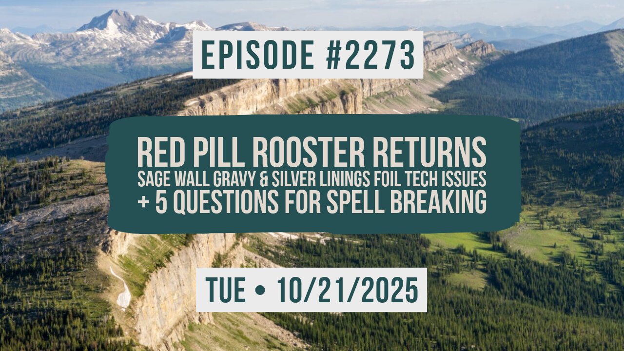 Owen Benjamin | #2273 Red Pill Rooster Returns, Sage Wall Gravy, & Silver Linings Foil Tech Issues + 5 Questions For Spell Breaking
