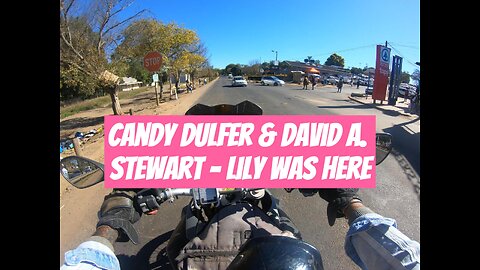 Candy Dulfer & David A. Stewart - Lily Was Here