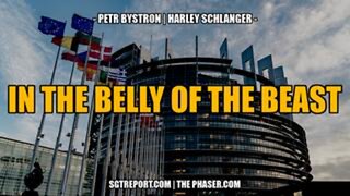 In the Belly of the Beast -- Petr Bystron & Harley Schlanger