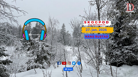 Skogpod 27. januar 2026