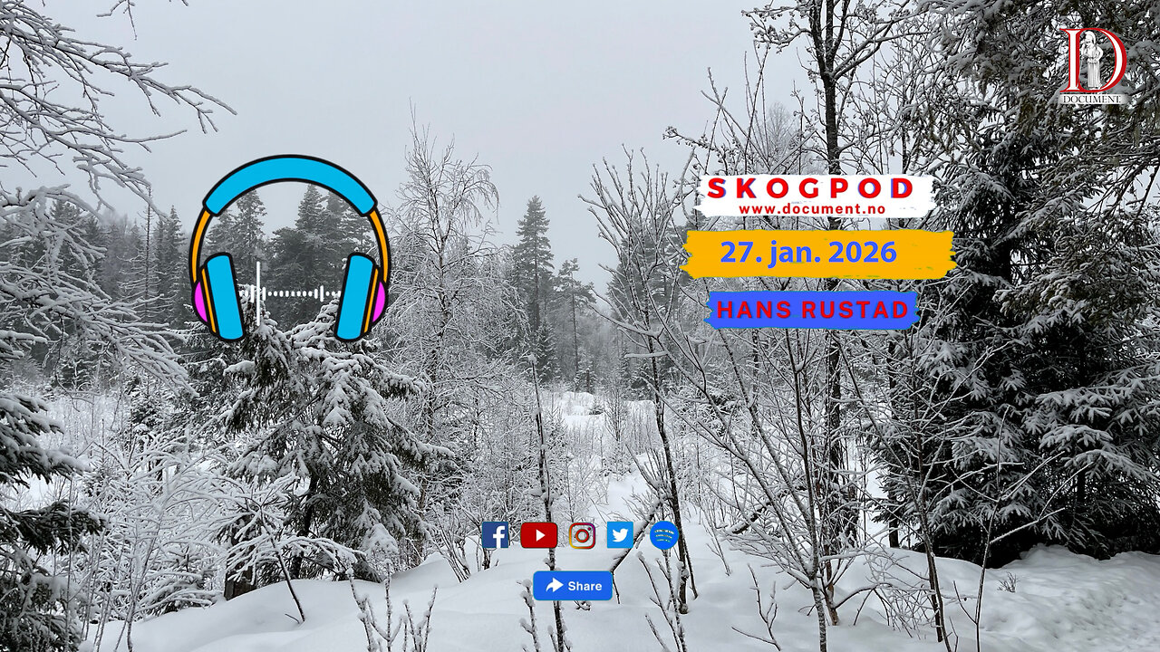 Skogpod 27. januar 2026