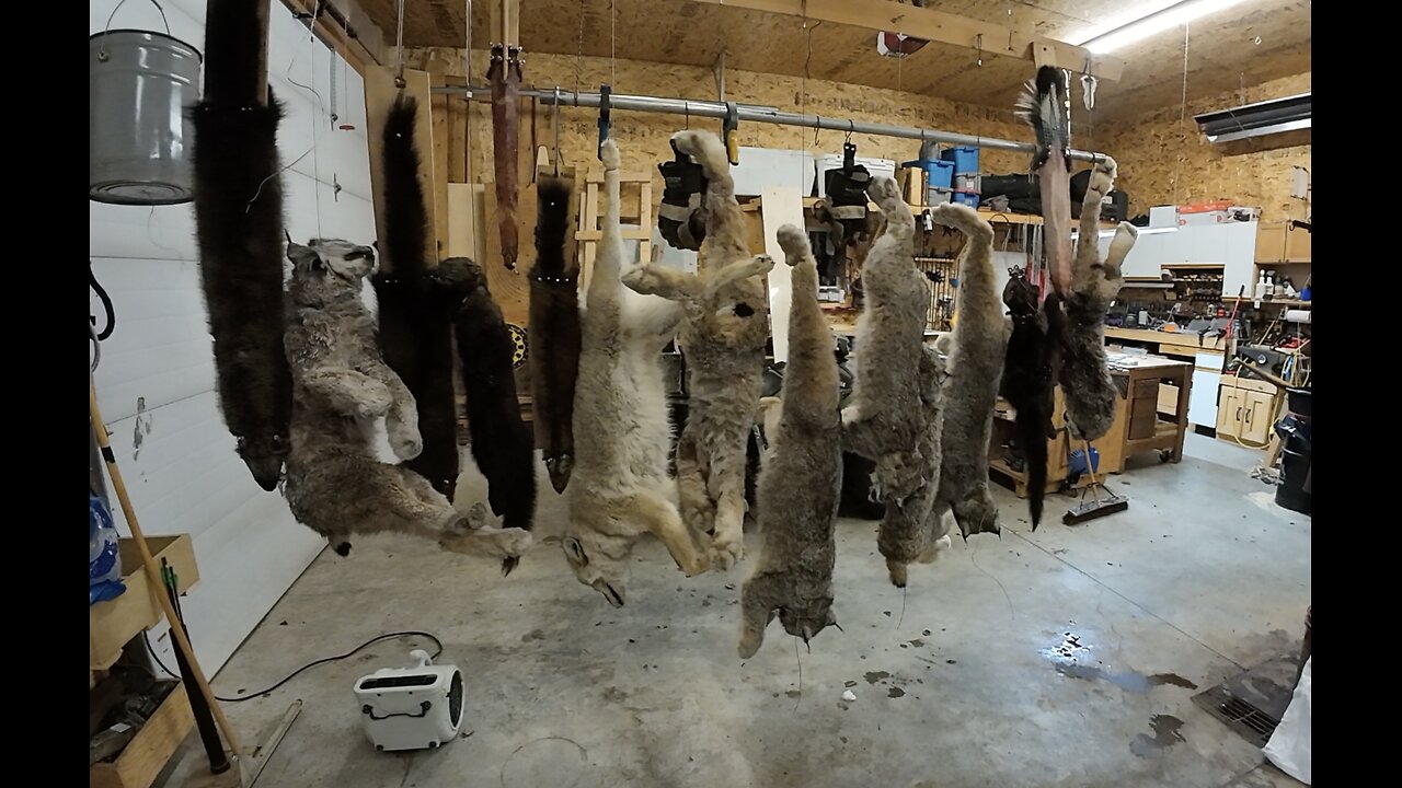 Trapping Dec 16th-19th 2026