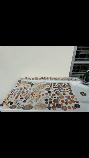 Beach Finds 1/18/2026 | 4K