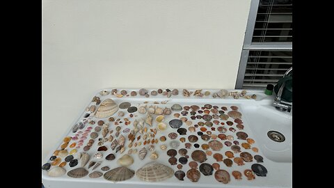 Beach Finds 1/18/2026 | 4K