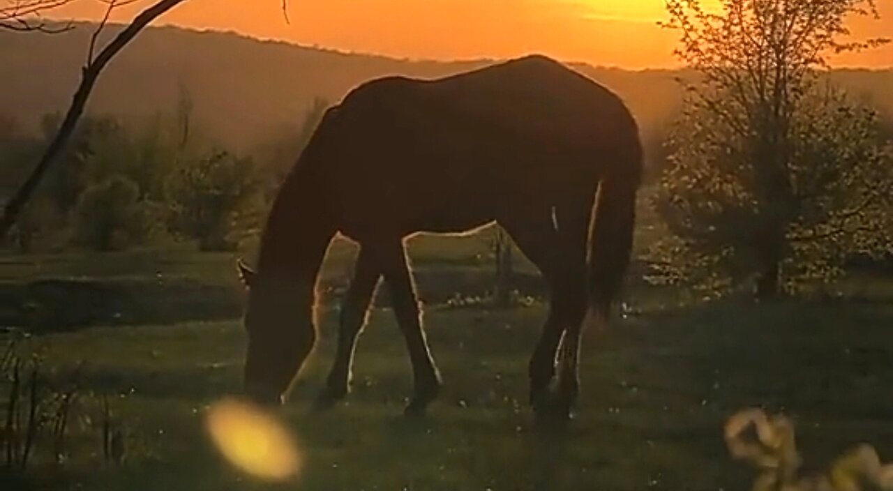 A FAITH WORTH PASSING DOWN - DAILY DEVOTIONAL ❤️