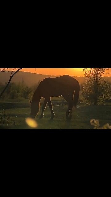 A FAITH WORTH PASSING DOWN - DAILY DEVOTIONAL ❤️