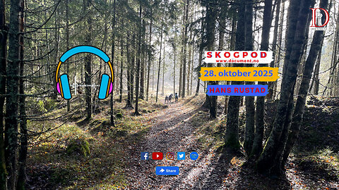 Skogpod 28. oktober 2025