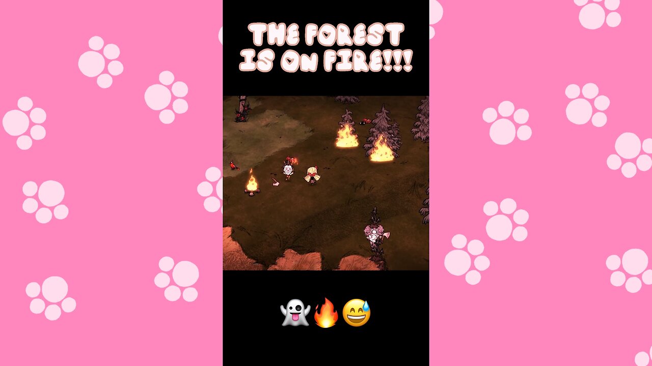 Don’t Look Away 🔥